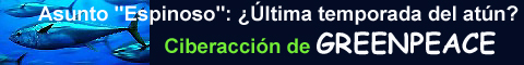 INTERNAUTAS